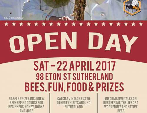 Beekeepers Open Day Illawarra Sutherland