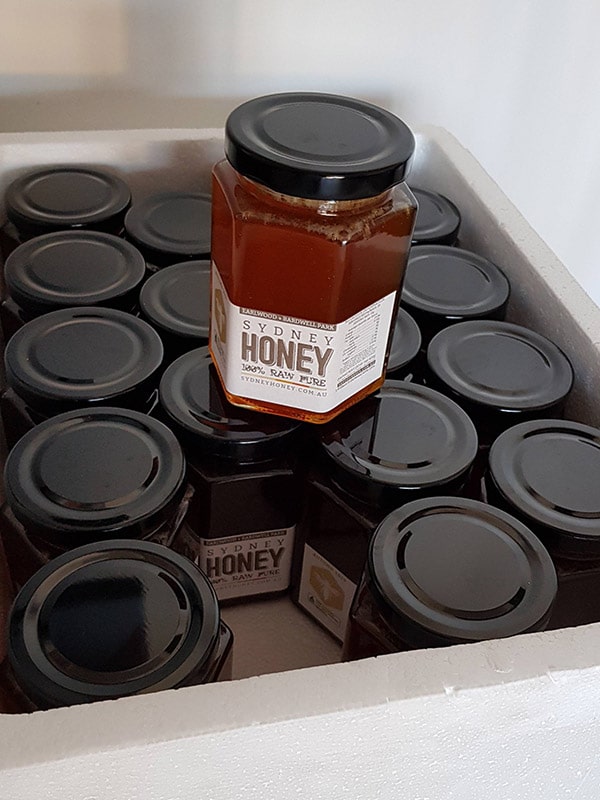 sydney-raw-honey-jar-420gram-bulk-order-18-jars-1