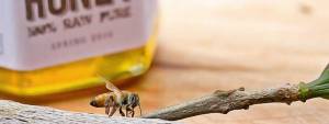 save our bees honeybee on timber honey jar background 059 sydney honey
