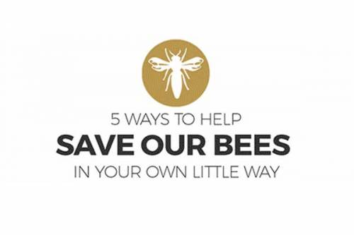 5 ways to help save bees banner