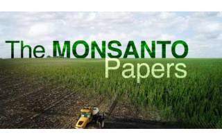 bc four corners the monsanto papers