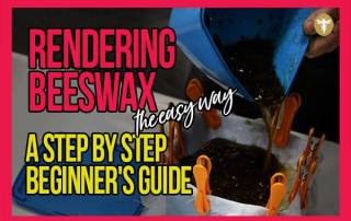 rendering-beeswax-the-easy-way-a-step-by-step-beginners-guide