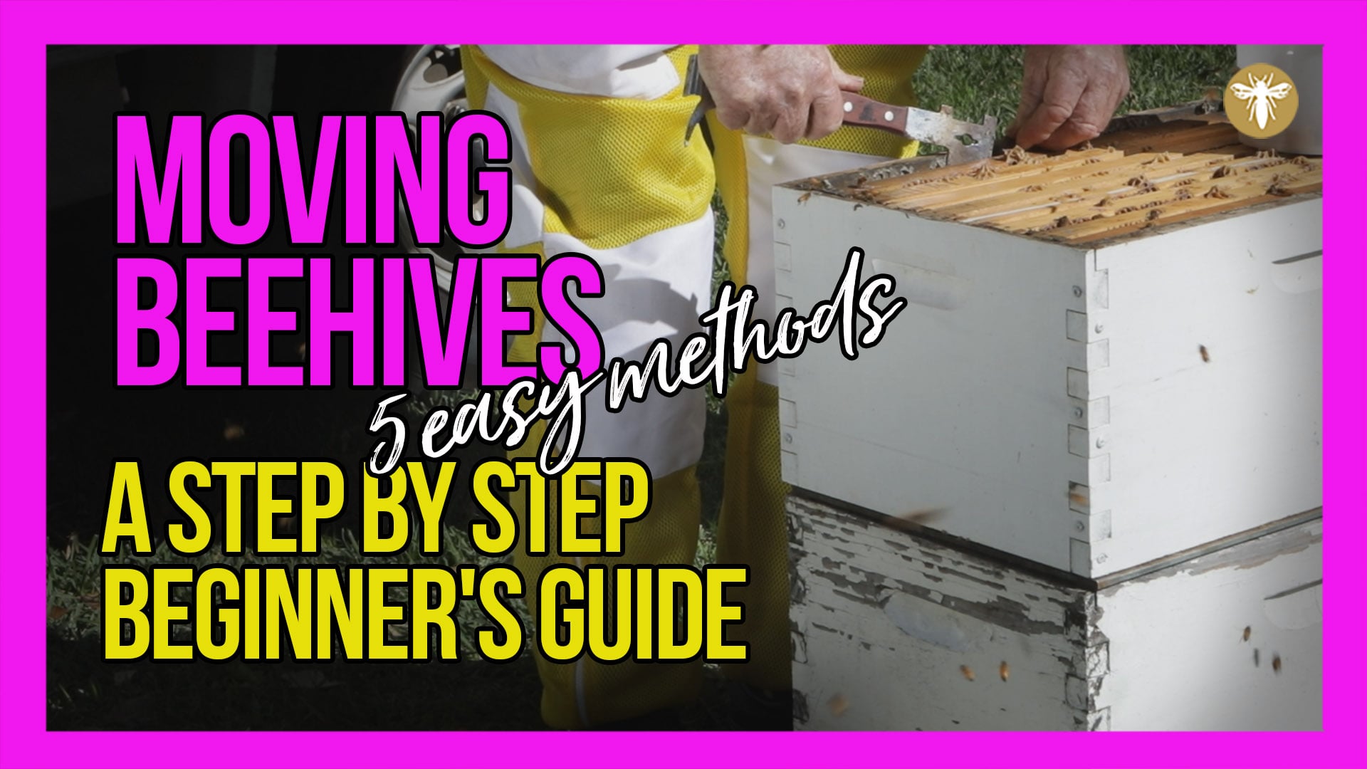 moving-beehives-5-easy-methods