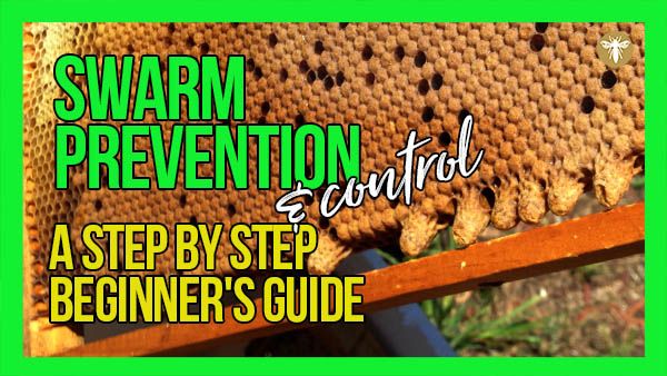 Swarm Prevention & Control