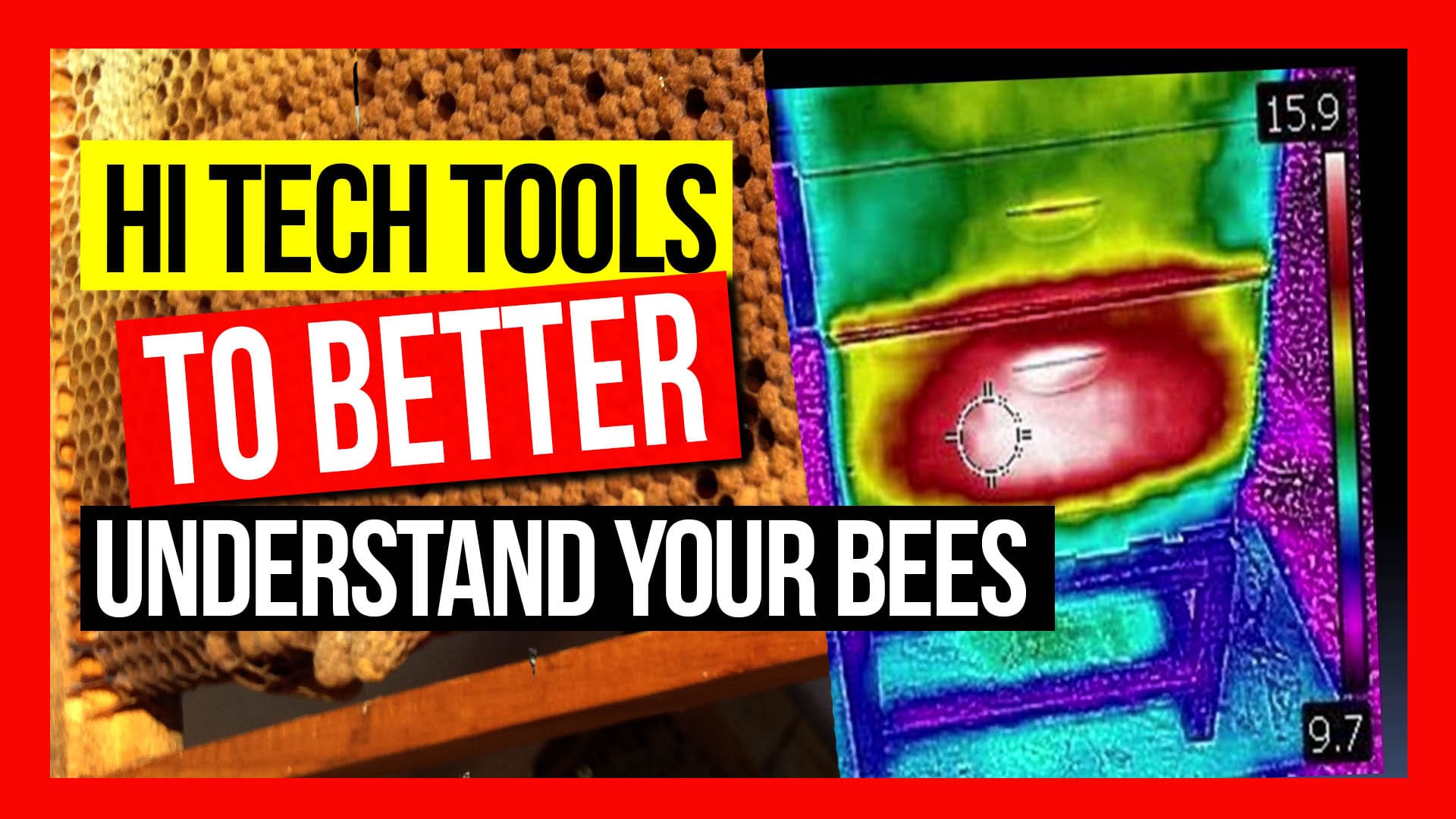ABA-of-NSW-Field-Day-2019-Part-02-Hi-Tech-Tools-to-Better-Understand-your-Bees-ft-Michael-Syme-thumbnail-min