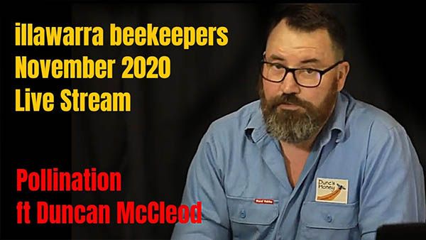 2020-November-illawarra-Beekeepers-Night-Meeting-Live-Stream-thumb