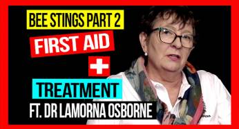 Bee Stings First Aid & Treatment